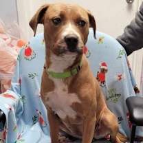 Thumbnail photo of Snap-Sponsored #2