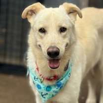 Thumbnail photo of Popi Mike #1