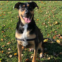 Thumbnail photo of Coco #1