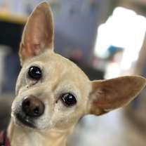 Thumbnail photo of Snowflake #4