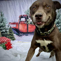 Thumbnail photo of Clyde #4
