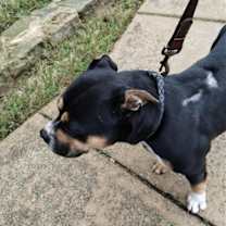 Thumbnail photo of Clara #3