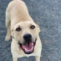 Thumbnail photo of Ellie Mae #2