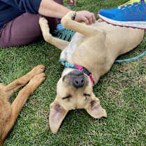 Thumbnail photo of Ellie Mae #3