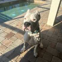 Thumbnail photo of Marvin #2