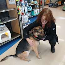 Thumbnail photo of Dex #3