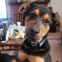 Thumbnail photo of Vader #4