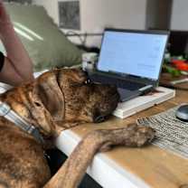 Thumbnail photo of Stetson #2