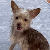 Thumbnail photo of Patrick & Sean #2