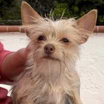 Thumbnail photo of Patrick & Sean #3