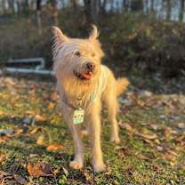 Thumbnail photo of Riley (S. Korea) hz #3