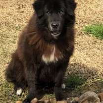 Thumbnail photo of Kristoff (FL) #2