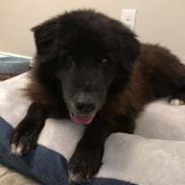 Thumbnail photo of Kristoff (FL) #4