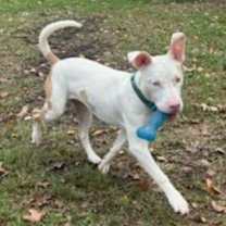 Thumbnail photo of Hope (MS) NEW PIC! #3