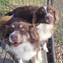 Thumbnail photo of Faith #2