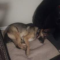 Thumbnail photo of LILLY 2 (COURTESY POST) #2