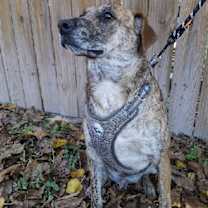 Thumbnail photo of Nick #1