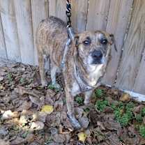 Thumbnail photo of Nick #2