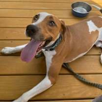 Thumbnail photo of Nikko COURTESY LISTING #1