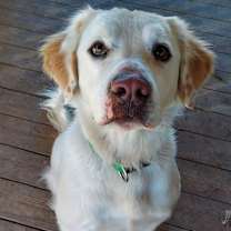 Thumbnail photo of Smiley #2