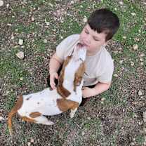 Thumbnail photo of Papaya #4