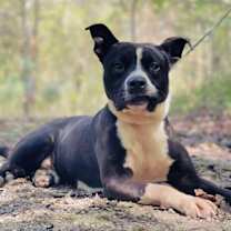 Thumbnail photo of Lucas Rock #1