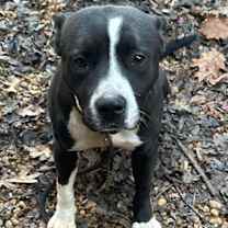 Thumbnail photo of Lucas Rock #2