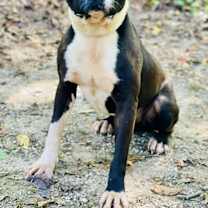 Thumbnail photo of Lucas Rock #3