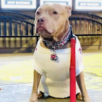 Thumbnail photo of Chai #1