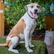 Thumbnail photo of Bubbles #1