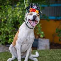 Thumbnail photo of Bubbles #2