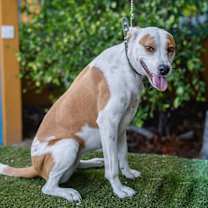 Thumbnail photo of Bubbles #3