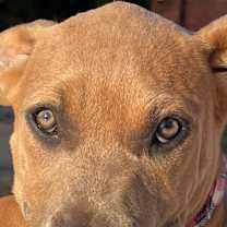 Thumbnail photo of Lola Danforth #1