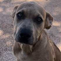 Thumbnail photo of Lola Danforth #2