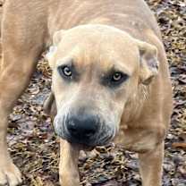 Thumbnail photo of Lola Danforth #4