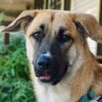 Thumbnail photo of Noelle D6683 #2