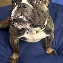 Thumbnail photo of Klaus #1