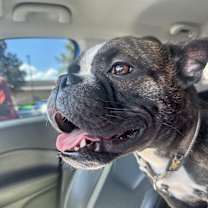 Thumbnail photo of Klaus #2