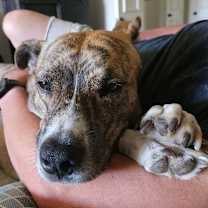 Thumbnail photo of Chloe #4