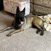 Thumbnail photo of Rey #2