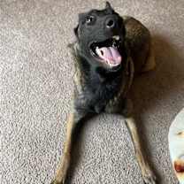 Thumbnail photo of Rey #3