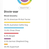 Thumbnail photo of Dixxie #2