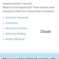 Thumbnail photo of Dixxie #3