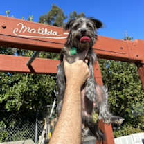 Thumbnail photo of Matilda #3