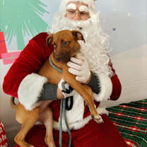 Thumbnail photo of Kendall #1