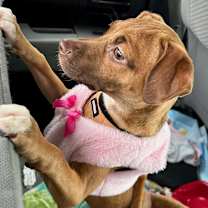 Thumbnail photo of Kendall #3