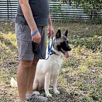 Thumbnail photo of Kira #3