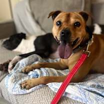 Thumbnail photo of PEPPA #3