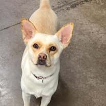 Thumbnail photo of Coralee #2
