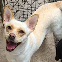 Thumbnail photo of Coralee #3